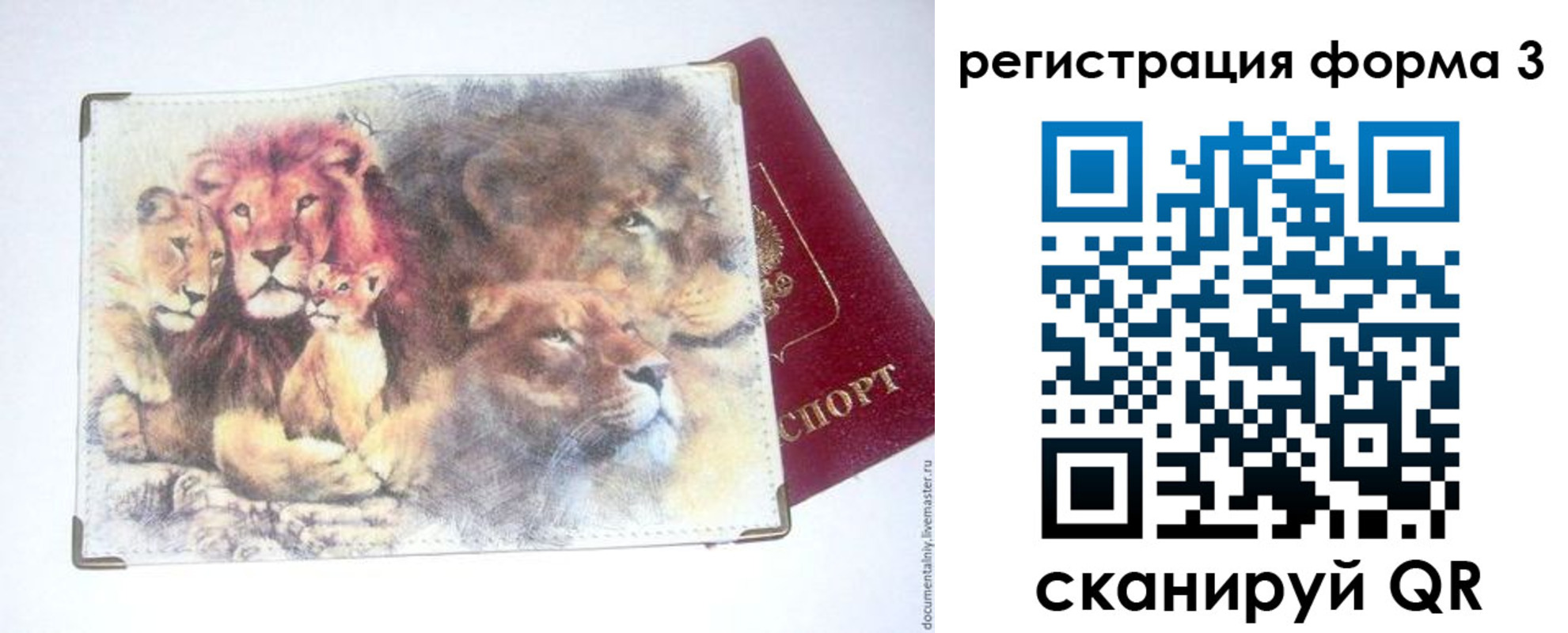 прописка в квартире в Новомичуринске